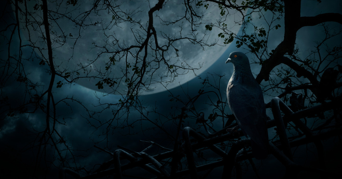 Are Halloween Decorations Safe for Pet Birds?