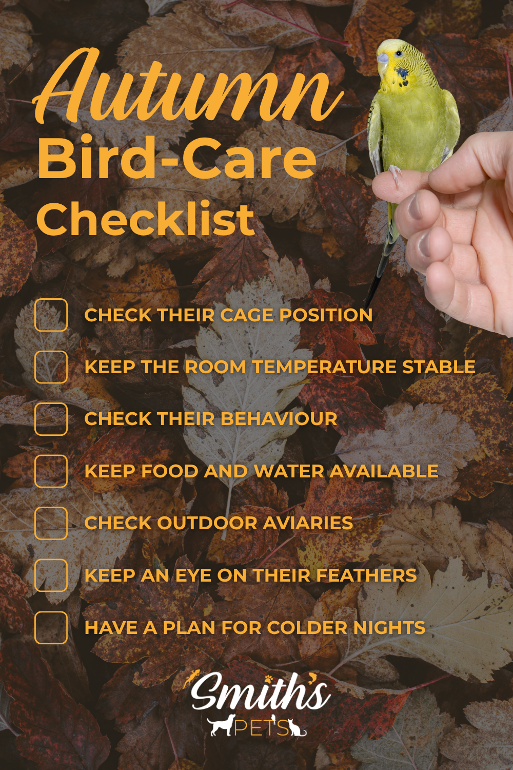 Autumn bird care checklist Autumn bird care checklist