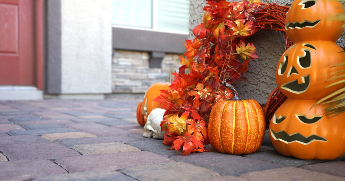 Is Halloween Safe for Garden Wildlife Is Halloween Safe for Garden Wildlife