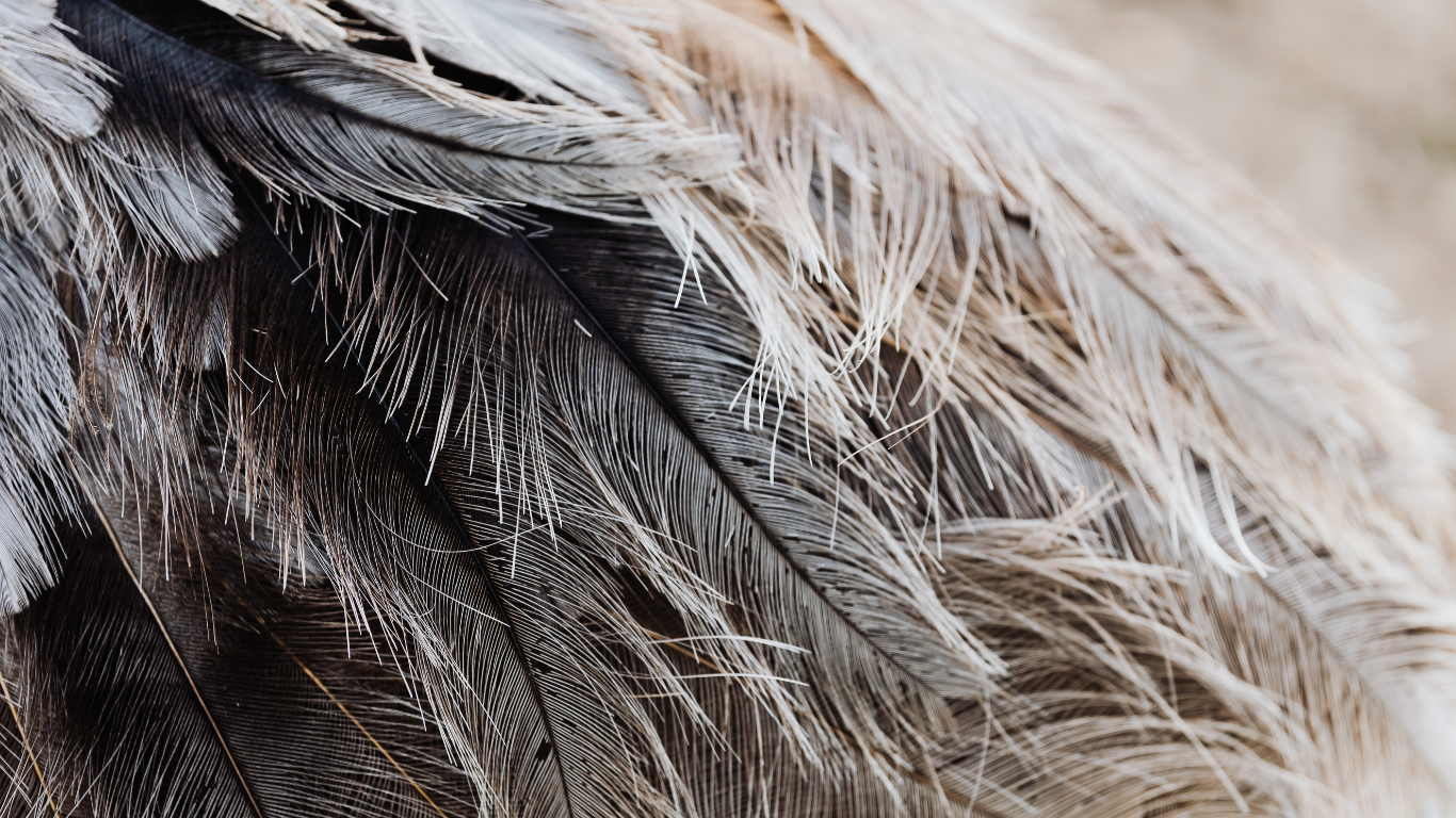 Rabbit peeking from wooden hutch.