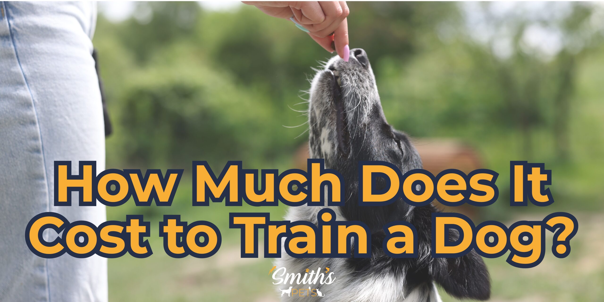 page photo -How Much Does It Cost to Train a Dog How Much Does It Cost to Train a Dog?