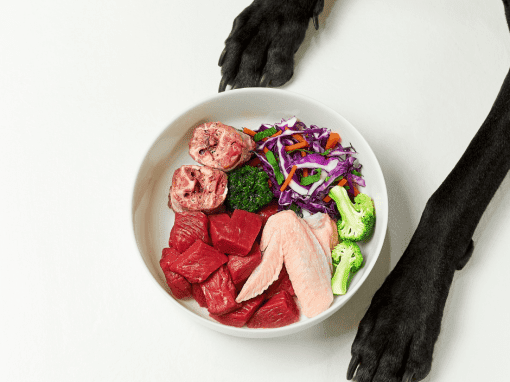 The Ultimate Guide to Raw Feeding for Dogs