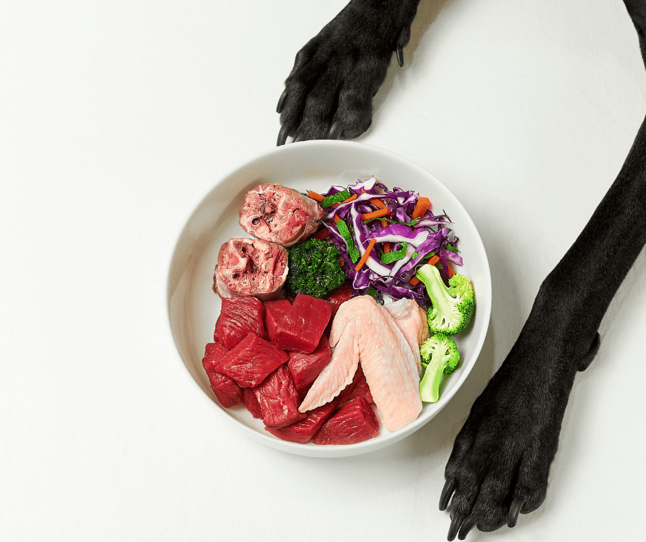 The Ultimate Guide to Raw Feeding for Dogs