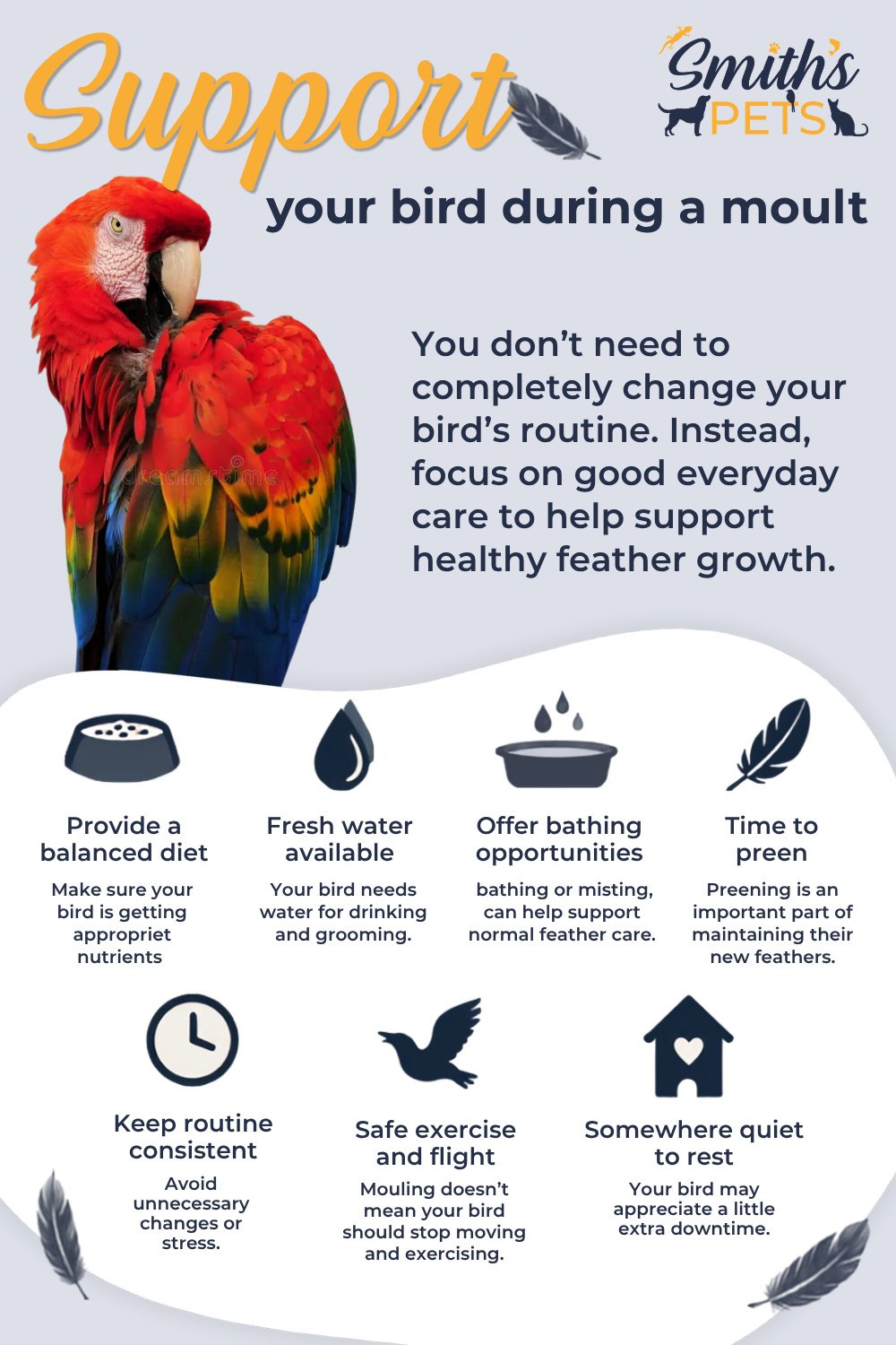 support your bird during moult support your bird during moult